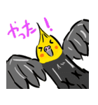オカメインコ 四十面相 FOR NORMAL（個別スタンプ：39）