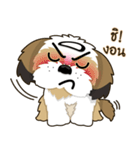 Alex little dog（個別スタンプ：18）