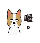 Dog ＆ Cat's World（個別スタンプ：5）