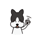 Dog ＆ Cat's World（個別スタンプ：13）