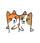 Dog ＆ Cat's World（個別スタンプ：34）