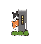 Dog ＆ Cat's World（個別スタンプ：37）