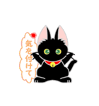 黒猫だにゃん Ver2（個別スタンプ：25）