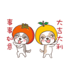 King ＆ Bow 3 (Lovely Shih Tzu)（個別スタンプ：8）