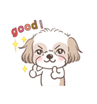 King ＆ Bow 3 (Lovely Shih Tzu)（個別スタンプ：16）