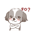 King ＆ Bow 3 (Lovely Shih Tzu)（個別スタンプ：19）