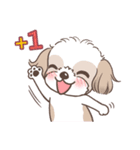 King ＆ Bow 3 (Lovely Shih Tzu)（個別スタンプ：20）