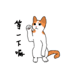 MiaoMiaoMiaoMiao（個別スタンプ：6）