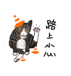 MiaoMiaoMiaoMiao（個別スタンプ：13）