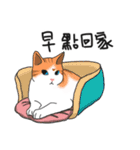 MiaoMiaoMiaoMiao（個別スタンプ：14）