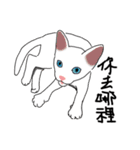 MiaoMiaoMiaoMiao（個別スタンプ：15）