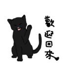 MiaoMiaoMiaoMiao（個別スタンプ：16）