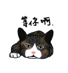 MiaoMiaoMiaoMiao（個別スタンプ：25）