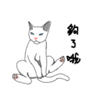 MiaoMiaoMiaoMiao（個別スタンプ：31）