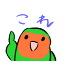 ザ・コザクラインコスタンプ（個別スタンプ：5）