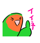 ザ・コザクラインコスタンプ（個別スタンプ：11）