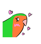 ザ・コザクラインコスタンプ（個別スタンプ：13）