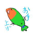 ザ・コザクラインコスタンプ（個別スタンプ：14）