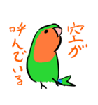 ザ・コザクラインコスタンプ（個別スタンプ：16）