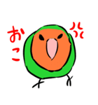 ザ・コザクラインコスタンプ（個別スタンプ：17）