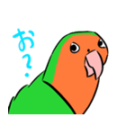 ザ・コザクラインコスタンプ（個別スタンプ：18）