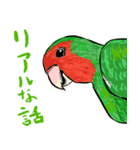 ザ・コザクラインコスタンプ（個別スタンプ：20）
