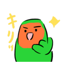 ザ・コザクラインコスタンプ（個別スタンプ：22）