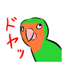 ザ・コザクラインコスタンプ（個別スタンプ：28）