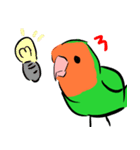 ザ・コザクラインコスタンプ（個別スタンプ：30）
