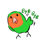 ザ・コザクラインコスタンプ（個別スタンプ：34）