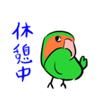 ザ・コザクラインコスタンプ（個別スタンプ：37）