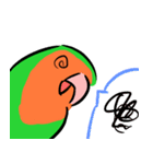 ザ・コザクラインコスタンプ（個別スタンプ：38）