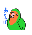 ザ・コザクラインコスタンプ（個別スタンプ：40）