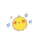 ゆるピヨコ（個別スタンプ：13）