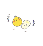ゆるピヨコ（個別スタンプ：31）
