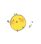 ゆるピヨコ（個別スタンプ：36）