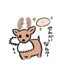奈良の鹿さん2（個別スタンプ：6）