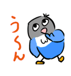 青ボタンインコスタンプ（個別スタンプ：4）