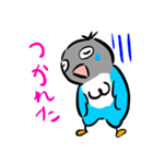 青ボタンインコスタンプ（個別スタンプ：26）