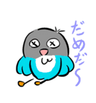 青ボタンインコスタンプ（個別スタンプ：30）