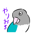 青ボタンインコスタンプ（個別スタンプ：33）