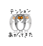 フクロウのスタンプ3（個別スタンプ：3）