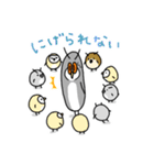 フクロウのスタンプ3（個別スタンプ：10）