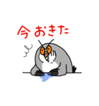 フクロウのスタンプ3（個別スタンプ：30）