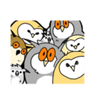 フクロウのスタンプ3（個別スタンプ：40）