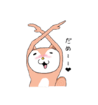 ほっこりす。（個別スタンプ：11）