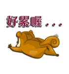 Squirrel Haji（個別スタンプ：5）