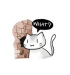 Crazycray Cat 2（個別スタンプ：13）