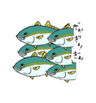 お魚の名前スタンプ（個別スタンプ：31）