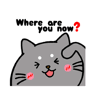 うちニャン 1（個別スタンプ：19）